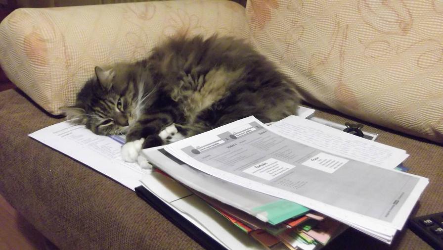 Настроение 11. Прибитым котёнком...