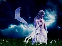 Лаванда ночь