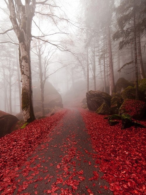 летаем ветром