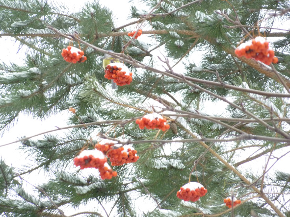 Природа пишет полотно! Романс