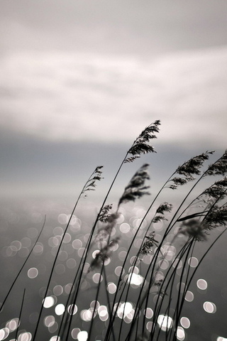 Так устроена жизнь