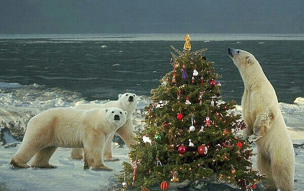 В ожидании Нового года