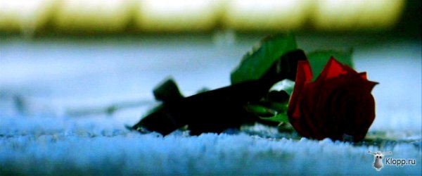 Связал шипы