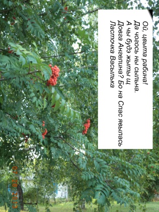 ВчеРашНее ТанГо. Ну, про ш сметану в стаКане