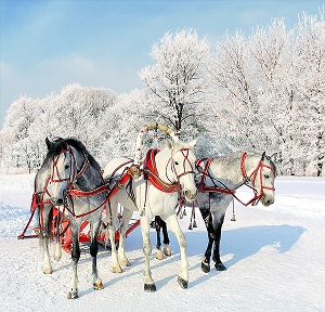 С Новым Годом! С 2019 годом!