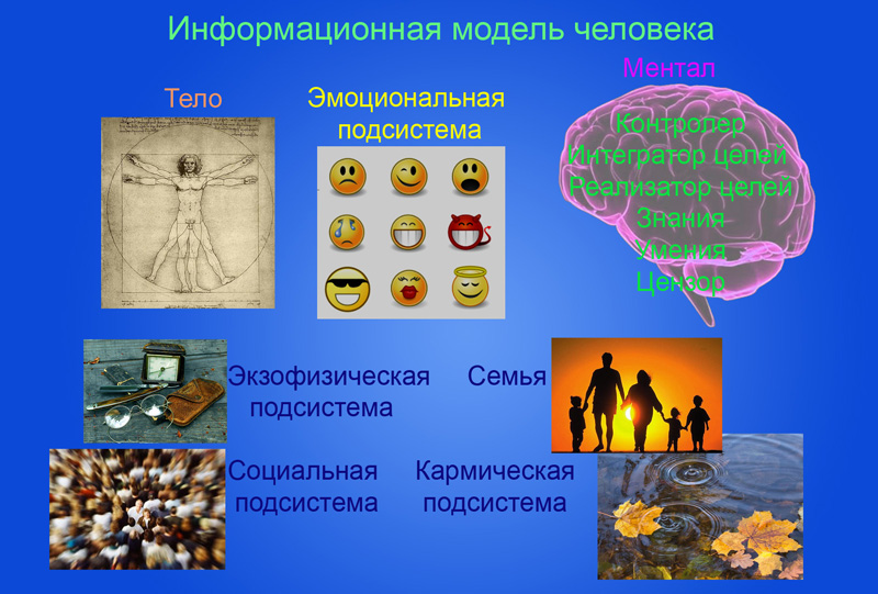 Человек информационная модель