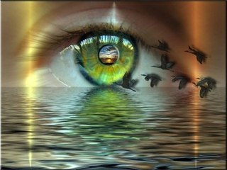 Что истинно, что ложно?