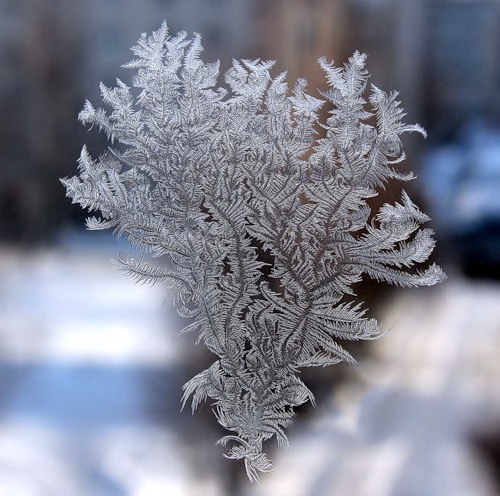 Морозное сердце... Дуэтное звучание