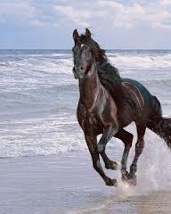 Новый Год. 2014. В стиле японского белого стиха