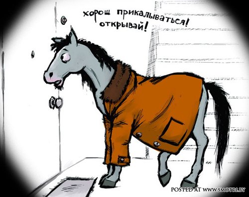 С новым годом синей лошади!