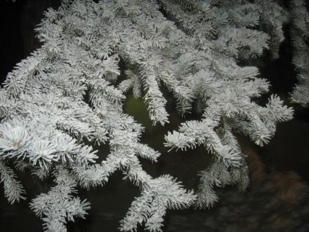 С Новым годом!