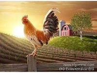 Рагъ ахварай авудайди