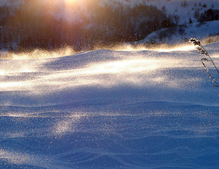 2. В позёмке ласково лучась