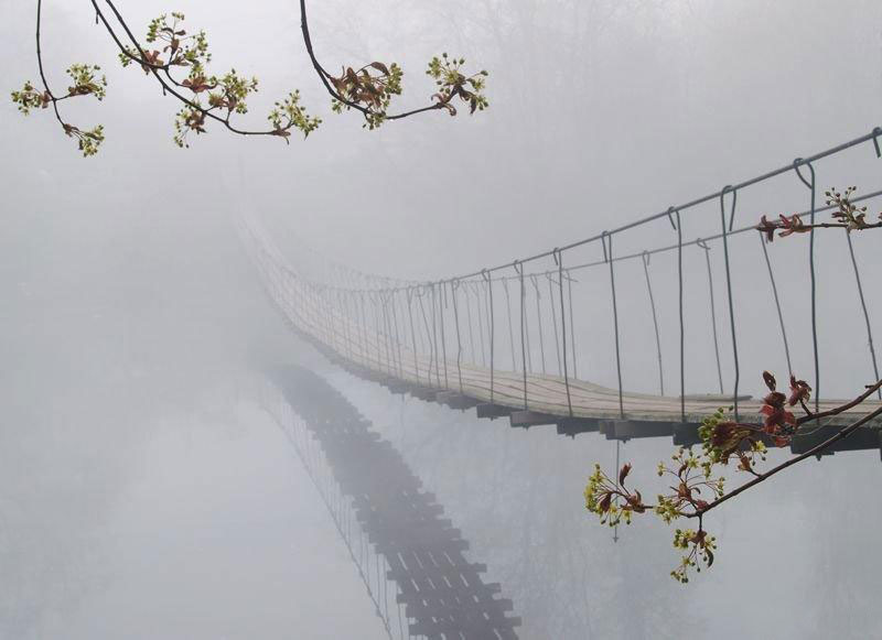 Мост в никуда