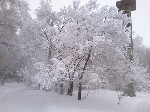 Добрый Ангел новогодней ночи