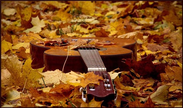 Жёлтая Осень