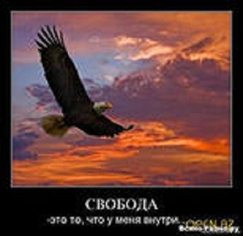 Чаз вуч кIан я