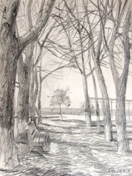 А сердце все же не стареет...