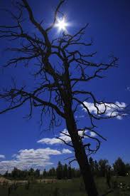 Надежды звезда