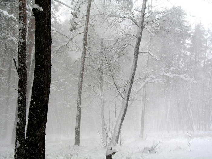 Я сожалею что душу обнажил...