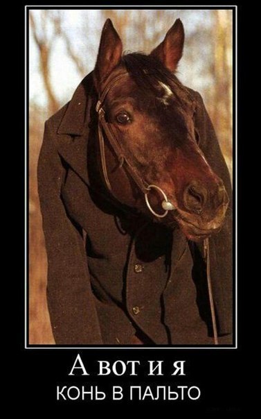 Звонят мне в дверь...