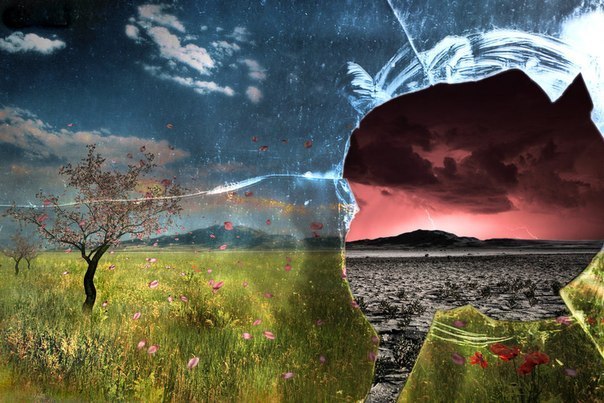 Дискография Земли