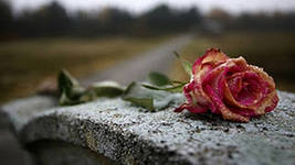 Странные традиции