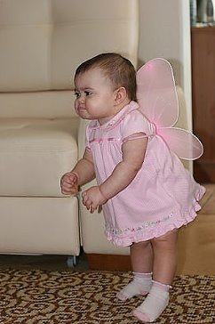 Крылья есть, взлететь не получается...