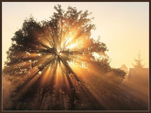 Тёплый свет