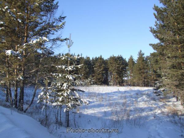 Цикл стихотворений ЗИМА