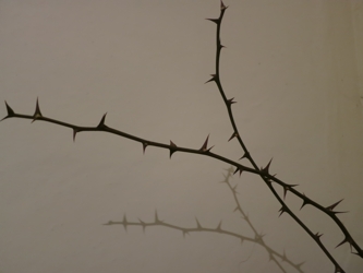 отброшу мир