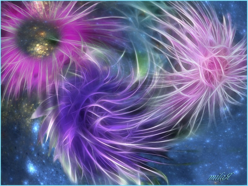 Как рождаются звёзды