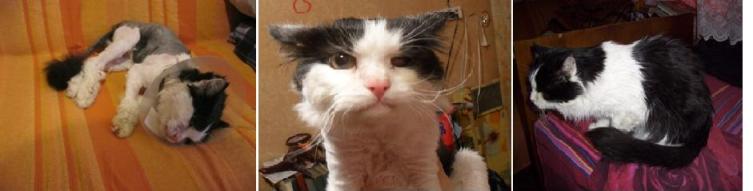 Вся правда о Мистере-Твистере