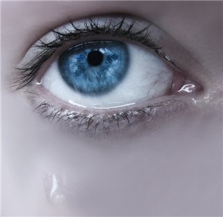 Лишь порознь вянут цветы