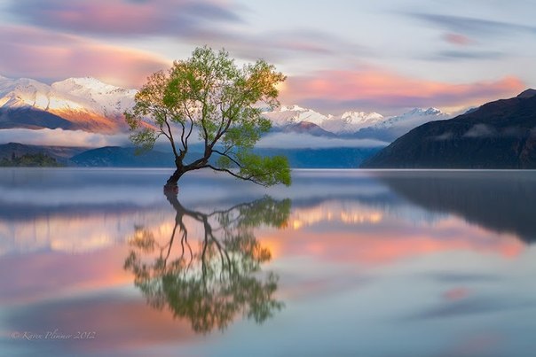 Взываешь к совести моей