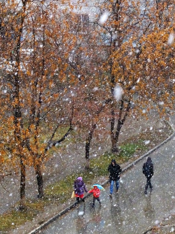 А за окном то дождь то снег. Мокрый снег за окном. Шел то снег то дождь. Дождь зимой цитаты. Снег с дождем.