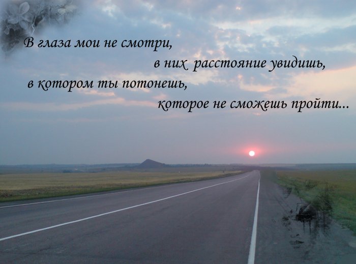 Цитаты про любимую машину