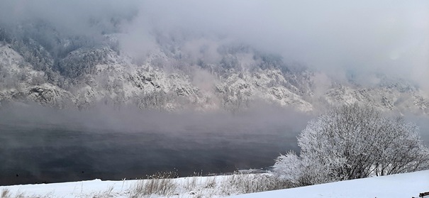Каждый сюда со своей бедой