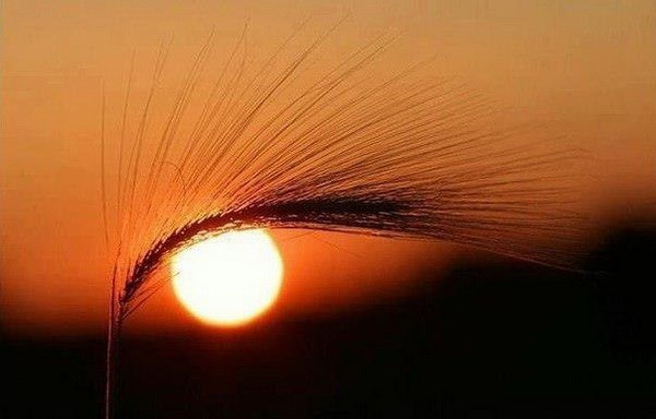 Я ощущал себя родным