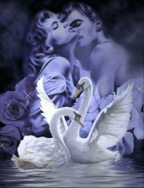 Два белых лебедя