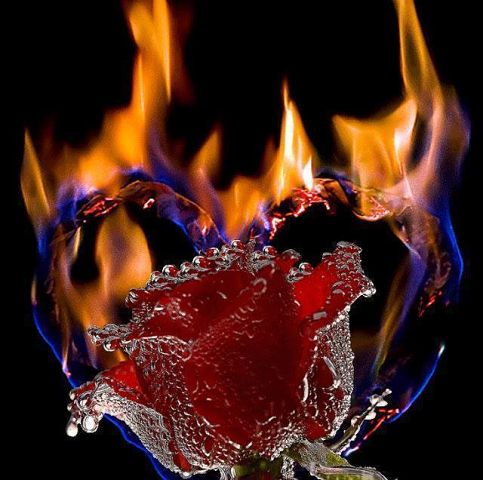 Странная любовь