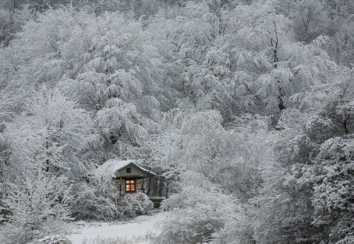 Снова вьюга...