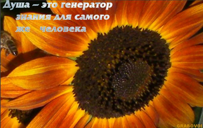 Друг о Друге