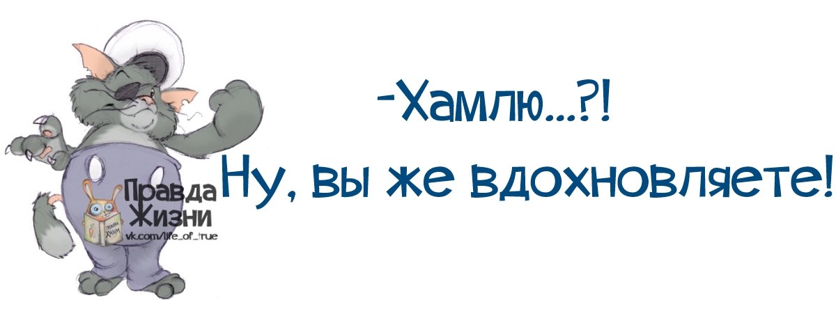 Кого-то этот кот напоминает мне?