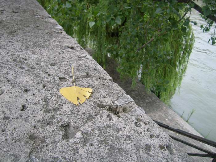 А осень умирает в парке рядом