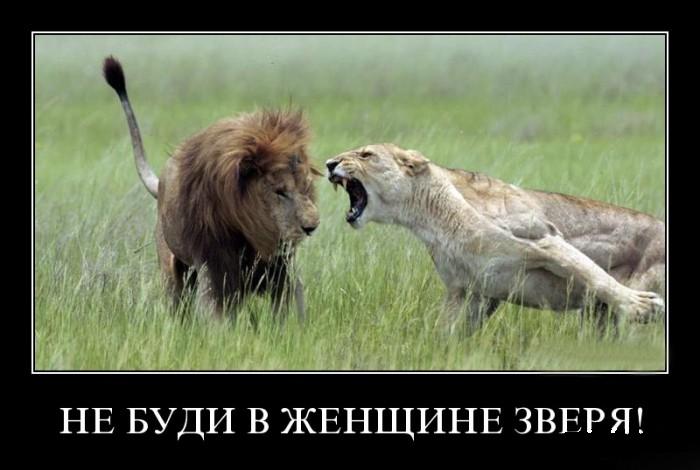 Где шлялся, Лёва? секс-юмор к фото Яндекс