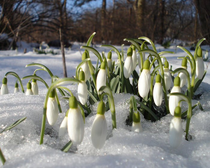 У жестокости слёз не бывает