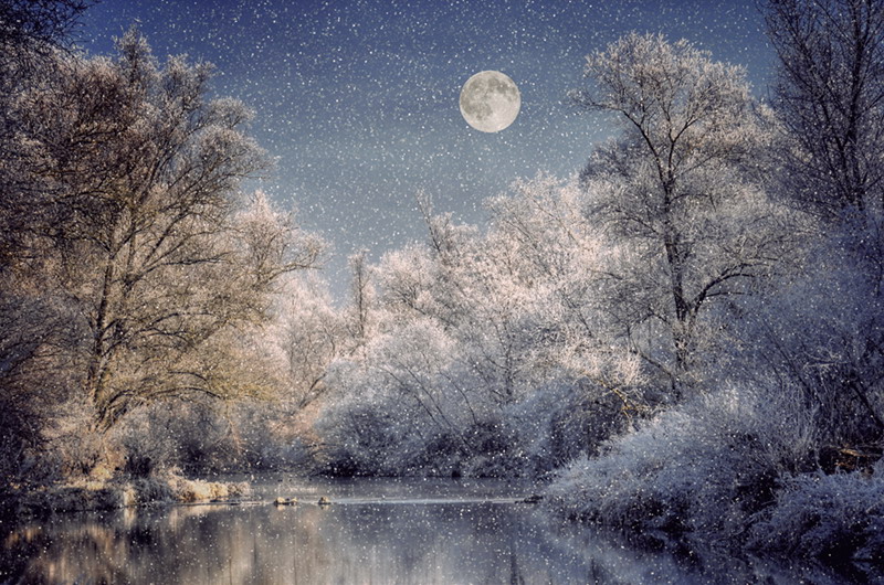 А за окном кружиться снег