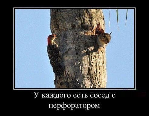 Ох, как известна многим из нас проблема эта...