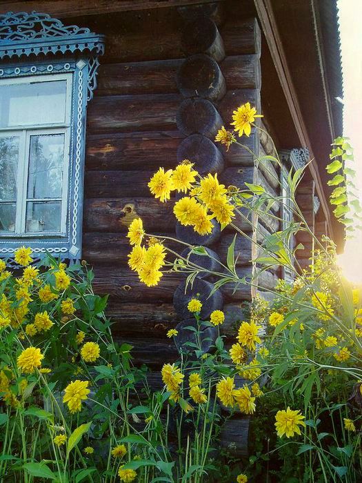 оттенки радости